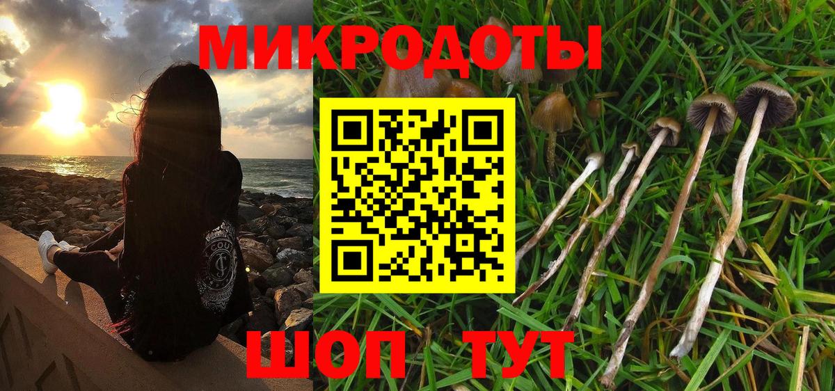 Псилоцибиновые грибы прущие грибы  Галлюциногенные грибы GOLDEN TEACHER  Вход с VPN  Вольск 